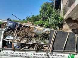 Best Moving and Downsizing Cleanouts  in Conehatta, MS