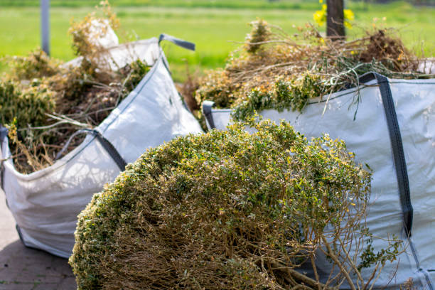 Demolition Debris Removal in Conehatta, MS